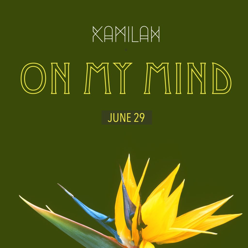 New York based 242 soulstress Kamilah creates luscious soundscapes with her vocals and instrumentation and if you haven't heard about her as yet, her new single "On My Mind" is a great way to get acquainted.